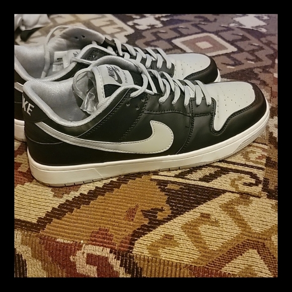 Nike Other - Nike Dunk Low Pro